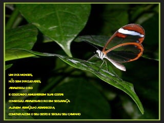 um dos monges,  não sem dificuldades,  atravessou o rio  e colocando a mulher em suas costas conseguiu atravessar o rio em segurança.  a jovem abraçou-o agradecida,  comovida com o seu gesto e seguiu seu caminho 