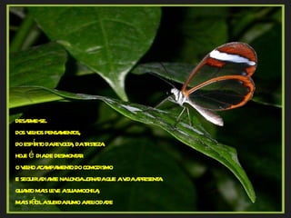 desarme-se. dos velhos pensamentos, do espírito da revolta, da tristeza.  hoje é  dia de desmontar  o velho acampamento do comodismo  e seguir adiante na longa jornada que a vida apresenta.  quanto mais leve a sua mochila,  mais fácil a subida rumo a felicidade 