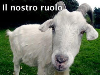 Il nostro ruolo
 