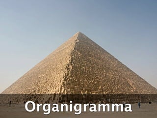Organigramma
 