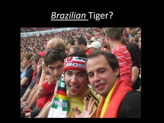 Brazilian Tiger?