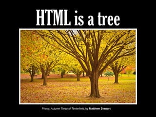 HTML is a tree
Photo: Autumn Trees of Tenterﬁeld, by Matthew Stewart
 