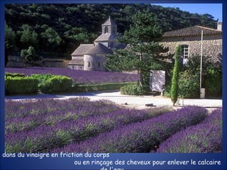 dans du vinaigre en friction du corps  ou en rinçage des cheveux pour enlever le calcaire de l'eau .  