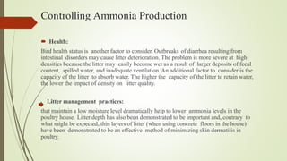 Photo inspiration: Farhan 22230507 Ammonia And Poultry Welfaree11 Pptx Photo Inspiration