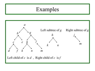 Examples
a
b g
c e h j
d f k n m
Left child of c is d , Right child of c is f
h
nk
j
m
Left subtree of g Right subtree of g
 
