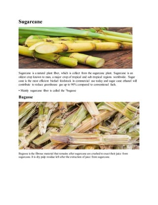 Sugarcane
Sugarcane is a natural plant fiber, which is collect from the sugarcane plant. Sugarcane is an
oldest crop known...