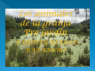 Los animales
de la granja
 Pre jardín
FARIDEY RIASCOS
  BATANERO
 