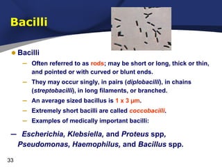 Faridchapter4microbiology | PPT