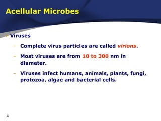 Faridchapter4microbiology | PPT