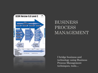 BUSINESS
PROCESS
MANAGEMENT




I bridge business and
technology using Business
Process Management
techniques, tools…
 