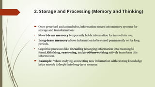 Comprehensive Overview of Cognitive Psychology and Information ...