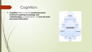 Comprehensive Overview of Cognitive Psychology and Information ...