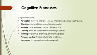 Comprehensive Overview of Cognitive Psychology and Information ...