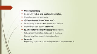 Comprehensive Overview of Cognitive Psychology and Information ...