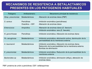 Patógeno Antibacteriano Mecanismo principal de resistencia
Strep. pneumoniae Betalactámicos Alteración de enzimas diana (PBP)
S. aureus Penicilinas
Oxacilina – CEF.
Inhibición enzimática (penicilinasa)
Alteración de enzimas diana
Enterococos Ampicilina Alteración de enzimas diana (E. faecium)
Inhibición enzimática: rara (E. faecalis)
N. gonorrhoeae Penicilinas Inhibición enzimática. Alteración de enzimas diana
Ps. aeruginosa Betalactámicos Inhibición enzimática, eliminación activa, disminución de la
permeabilidad de la membrana externa
A. baumannii Betalactámicos Inhibición enzimática. Alteración de enzimas diana.
Reducción de la permeabilidad de la membrana externa.
Bombas de eliminación
K. pneumoniae Betalactámicos Inhibición enzimática. Reducción de la permeabilidad de la
membrana externa
Bacteroides sp Betalactámicos Inhibición enzimática, eliminación (eflujo), alteración de
enzimas diana
PBP: proteína de unión a penicilinas; CEF: cefalosporinas
MECANISMOS DE RESISTENCIA A BETALACTAMICOS
MECANISMOS DE RESISTENCIA A BETALACTAMICOS
PRESENTES EN LOS PATOGENOS HABITUALES
PRESENTES EN LOS PATOGENOS HABITUALES
 