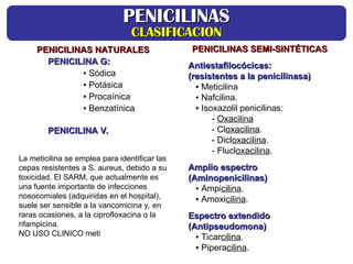 PENICILINAS NATURALES
PENICILINAS NATURALES
PENICILINA G:
PENICILINA G:
▪ Sódica
▪ Potásica
▪ Procaínica
▪ Benzatínica
PENICILINA V.
PENICILINA V.
PENICILINAS SEMI-SINTÉTICAS
PENICILINAS SEMI-SINTÉTICAS
A
Antiestafilocócicas:
ntiestafilocócicas:
(resistentes a la penicilinasa)
(resistentes a la penicilinasa)
▪ Meticilina
▪ Nafcilina.
▪ Isoxazolil penicilinas:
- Oxacilina
- Cloxacilina.
- Dicloxacilina.
- Flucloxacilina.
A
Amplio espectro
mplio espectro
(
(Aminopenicilinas
Aminopenicilinas)
)
▪ Ampicilina.
▪ Amoxicilina.
E
Espectro extendido
spectro extendido
(Anti
(Antipseudomona
pseudomona)
)
▪ Ticarcilina.
▪ Piperacilina.
PENICILINAS
PENICILINAS
CLASIFICACION
CLASIFICACION
La meticilina se emplea para identificar las
cepas resistentes a S. aureus, debido a su
toxicidad. El SARM, que actualmente es
una fuente importante de infecciones
nosocomiales (adquiridas en el hospital),
suele ser sensible a la vancomicina y, en
raras ocasiones, a la ciprofloxacina o la
rifampicina.
NO USO CLINICO meti
 