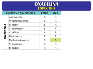 BACTERIAS ANAEROBIAS PEN G OXA
Actinomyces S R
P. melaninogenica S R
C. tetani S R
C. perfringens S R
C. difficile R R
Peptococcus S R
Peptostreptococcus S S
F. nucleatum S R
B. fragilis R R
OXACILINA
OXACILINA
ESPECTRO
ESPECTRO
ANAEROBIAS
ANAEROBIAS
 