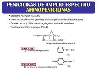 AMPICILINA
AMPICILINA
AMOXICILINA
AMOXICILINA
• Espectro AMPLIO y MIXTO
• Mejor actividad contra gramnegativos (algunas enterobacteriaceas).
• Enterococcus y Listeria monocytogenes son más sensibles.
• Contra anaerobios es mejor Pen-G.
PENICILINAS DE AMPLIO ESPECTRO
PENICILINAS DE AMPLIO ESPECTRO
AMINOPENICILINAS
AMINOPENICILINAS
 