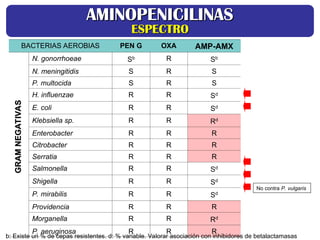 BACTERIAS AEROBIAS PEN G OXA AMP-AMX
N. gonorrhoeae Sb R Sb
N. meningitidis S R S
P. multocida S R S
H. influenzae R R Sd
E. coli R R Sd
Klebsiella sp. R R Rd
Enterobacter R R R
Citrobacter R R R
Serratia R R R
Salmonella R R Sd
Shigella R R Sd
P. mirabilis R R Sd
Providencia R R R
Morganella R R Rd
P. aeruginosa R R R
b: Existe un % de cepas resistentes. d: % variable. Valorar asociación con inhibidores de betalactamasas
GRAM
NEGATIVAS
GRAM
NEGATIVAS
No contra P. vulgaris
AMINOPENICILINAS
AMINOPENICILINAS
ESPECTRO
ESPECTRO
 