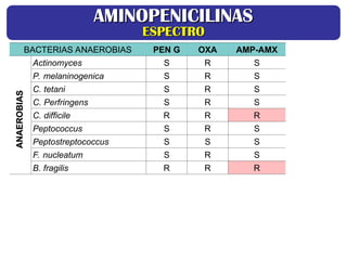 BACTERIAS ANAEROBIAS PEN G OXA AMP-AMX
Actinomyces S R S
P. melaninogenica S R S
C. tetani S R S
C. Perfringens S R S
C. difficile R R R
Peptococcus S R S
Peptostreptococcus S S S
F. nucleatum S R S
B. fragilis R R R
AMINOPENICILINAS
AMINOPENICILINAS
ESPECTRO
ESPECTRO
ANAEROBIAS
ANAEROBIAS
 
