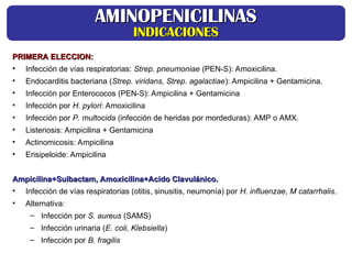 PRIMERA ELECCION:
PRIMERA ELECCION:
• Infección de vías respiratorias: Strep. pneumoniae (PEN-S): Amoxicilina.
• Endocarditis bacteriana (Strep. viridans, Strep. agalactiae): Ampicilina + Gentamicina.
• Infección por Enterococos (PEN-S): Ampicilina + Gentamicina
• Infección por H. pylori: Amoxicilina
• Infección por P. multocida (infección de heridas por mordeduras): AMP o AMX.
• Listeriosis: Ampicilina + Gentamicina
• Actinomicosis: Ampicilina
• Erisipeloide: Ampicilina
Ampicilina+Sulbactam, Amoxicilina+Acido Clavulánico.
Ampicilina+Sulbactam, Amoxicilina+Acido Clavulánico.
• Infección de vías respiratorias (otitis, sinusitis, neumonía) por H. influenzae, M catarrhalis.
• Alternativa:
– Infección por S. aureus (SAMS)
– Infección urinaria (E. coli, Klebsiella)
– Infección por B. fragilis
AMINOPENICILINAS
AMINOPENICILINAS
INDICACIONES
INDICACIONES
 