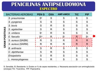BACTERIAS AEROBIAS PEN G OXA AMP-AMOX TIC PIP
S. pneumoniae Sb
S S S S
S. pyogenes S S S S S
S. bovis S R S S S
S. agalactiae S R S S S
S. viridans Sc
R S S S
E. faecalis Sbc
R Sc
R Sb
S. aureus (SASM) R S R R R
S. aureus (SARM) R R R R R
B. anthracis S R S S S
C. diphtheriae S R S S S
Erisipelotrix S R S S S
L. monocytogenes S R S S S
GRAM
POSITIVAS
S: Sensible, R: Resistente. b: Existe un % de cepas resistentes, c: Necesaria asociación con aminoglicósido
(sinergia) TIC: Ticarcilina, PIP: Piperacilina
PENICILINAS ANTIPSEUDOMONA
PENICILINAS ANTIPSEUDOMONA
ESPECTRO
ESPECTRO
 