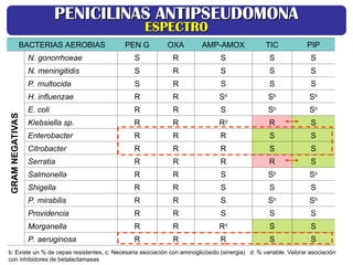 BACTERIAS AEROBIAS PEN G OXA AMP-AMOX TIC PIP
N. gonorrhoeae S R S S S
N. meningitidis S R S S S
P. multocida S R S S S
H. influenzae R R Sd
Sb
Sb
E. coli R R S Sb
Sb
Klebsiella sp. R R Rd
R S
Enterobacter R R R S S
Citrobacter R R R S S
Serratia R R R R S
Salmonella R R S Sb
Sb
Shigella R R S S S
P. mirabilis R R S Sb
Sb
Providencia R R S S S
Morganella R R Rd
S S
P. aeruginosa R R R S S
GRAM
NEGATIVAS
b: Existe un % de cepas resistentes, c: Necesaria asociación con aminoglicósido (sinergia) d: % variable. Valorar asociación
con inhibidores de betalactamasas
PENICILINAS ANTIPSEUDOMONA
PENICILINAS ANTIPSEUDOMONA
ESPECTRO
ESPECTRO
 