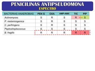 BACTERIAS ANAEROBIAS PEN G OXA AMP-AMX TIC PIP
Actinomyces S R S R S
P. melaninogenica S R S S S
C. perfringens S R S S S
Peptostreptococcus S S S S S
B. fragilis R R R R R
PENICILINAS ANTIPSEUDOMONA
PENICILINAS ANTIPSEUDOMONA
ESPECTRO
ESPECTRO
 
