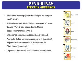 • Exantema maculopapular de etiología no alérgica
(AMP, AMX).
• Alteraciones gastrointestinales: Náuseas, vómitos,
diarrea (VO). Dosis dependiente. Colitis
pseudomembranosa (AMP).
• Infecciones secundarias (candidiasis vaginal).
• Aumento de las transaminasas (raro, + Oxacilina).
Hepatotoxicidad asociada a Amoxicilina/Ac.
Clavulánico (colestasis).
• Depresión de médula ósea: anemia, neutropenia.
PENICILINAS
PENICILINAS
EFECTOS ADVERSOS
EFECTOS ADVERSOS
 