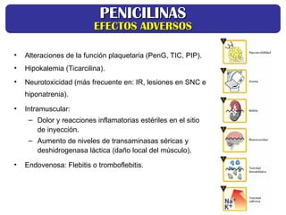 • Alteraciones de la función plaquetaria (PenG, TIC, PIP).
• Hipokalemia (Ticarcilina).
• Neurotoxicidad (más frecuente en: IR, lesiones en SNC e
hiponatrenia).
• Intramuscular:
– Dolor y reacciones inflamatorias estériles en el sitio
de inyección.
– Aumento de niveles de transaminasas séricas y
deshidrogenasa láctica (daño local del músculo).
• Endovenosa: Flebitis o tromboflebitis.
PENICILINAS
PENICILINAS
EFECTOS ADVERSOS
EFECTOS ADVERSOS
 