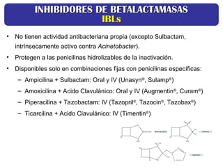 • No tienen actividad antibacteriana propia (excepto Sulbactam,
intrínsecamente activo contra Acinetobacter).
• Protegen a las penicilinas hidrolizables de la inactivación.
• Disponibles solo en combinaciones fijas con penicilinas específicas:
– Ampicilina + Sulbactam: Oral y IV (Unasyn®
, Sulamp®
)
– Amoxicilina + Acido Clavulánico: Oral y IV (Augmentin®
, Curam®
)
– Piperacilina + Tazobactam: IV (Tazopril®
, Tazocin®
, Tazobax®
)
– Ticarcilina + Acido Clavulánico: IV (Timentin®
)
INHIBIDORES DE BETALACTAMASAS
INHIBIDORES DE BETALACTAMASAS
IBLs
IBLs
 