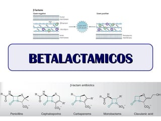 BETALACTAMICOS
BETALACTAMICOS
 