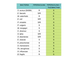 BACTERIA PIPERACILINA PIPERACILINA +
TAZOBACTAM
S. aureus (SASM) R S
E. faecalis S/R S
M. catarrhalis R S
E. coli S/R S
P. mirabilis S/R S
P. vulgaris S S
M. morgagni S S
C. diversus S S
S. tiphy S/R S
S. disenteriae S/R S
E. cloacae S S
K. pneumoniae S S
S. marcescens S S
Ps. aeruginosa S S
H. influenzae S S
B. fragilis R S
 
