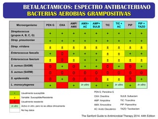 Microorganismo PEN G OXA
AMP/
AMX
AMX+
AC
AMP+
SULB
TIC
TIC +
AC
PIP
PIP +
TAZO
Streptococcus
(grupos A, B, C, G)
+ + + + + + + + +
Strep. pneumoniae
+ + + + + + + + +
Strep. viridans
± ± ± ± ± ± ± ± ±
Enterococcus faecalis
+ 0 + + + ± ± + +
Enterococcus faecium
± 0 ± + + ± ± ± ±
S. aureus (SASM)
0 + 0 + + 0 + 0 +
S. aureus (SARM)
0 0 0 0 0 0 0 0 0
S. epidermidis
0 + 0 0 0 ± ± 0 +
L. monocytogenes
+ + in vitro
+ + in vitro
+ in vitro
The Sanford Guide to Antimicrobial Therapy 2014. 44th Edition
+ Usualmente susceptible
± Variable: Susceptible/Resistente
0 Usualmente resistente
in vitro Activo in vitro, pero no se utiliza clínicamente
No hay datos
PEN G: Penicilina G
OXA: Oxacilina
AMP: Ampicilina
AMX: Amoxicilina
AC: Acido Clavulánico
SULB: Sulbactam
TIC: Ticarcilina
PIP: Piperacilina
TAZO: Tazobactam
BETALACTAMICOS: ESPECTRO ANTIBACTERIANO
BETALACTAMICOS: ESPECTRO ANTIBACTERIANO
BACTERIAS AEROBIAS GRAMPOSITIVAS
BACTERIAS AEROBIAS GRAMPOSITIVAS
 