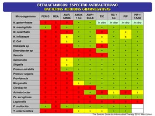 Microorganismo PEN G OXA
AMP/
AMOX
AMOX
+ AC
AMP+
SULB
TIC
TIC +
AC
PIP
PIP +
TAZO
N. gonorrhoeae 0 0 0 + + in vitro in vitro in vitro in vitro
N. meningitidis + 0 + + + + + + +
M. catarrhalis 0 0 0 + + 0 + ± +
H. influenzae 0 0 ± + + ± + ± +
E. Coli 0 0 ± + + ± + + +
Klebsiella sp 0 0 0 + + 0 + + +
Enterobacter sp 0 0 0 0 0 + + + +
Serratia 0 0 0 0 0 0 + + +
Salmonella 0 0 ± + + + + + +
Shigella 0 0 ± + + + + + +
Proteus mirabilis 0 0 + + + + + + +
Proteus vulgaris 0 0 0 + + + + + +
Providencia 0 0 0 + + + + + +
Morganella 0 0 0 ± + + + + +
Citrobacter 0 0 0 0 0 + + + +
Acinetobacter 0 0 0 0 + 0 ± 0 ±
Ps. aeruginosa 0 0 0 0 0 + + + +
Legionella 0 0 0 0 0 0 0 0 0
P. multocida + 0 + + + + + +
Y. enterocolitica 0 0 0 ± ± ± + +
The Sanford Guide to Antimicrobial Therapy 2014. 44th Edition
BETALACTAMICOS: ESPECTRO ANTIBACTERIANO
BETALACTAMICOS: ESPECTRO ANTIBACTERIANO
BACTERIAS AEROBIAS GRAMNEGATIVAS
BACTERIAS AEROBIAS GRAMNEGATIVAS
 