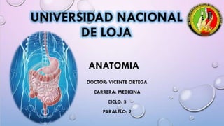 UNIVERSIDAD NACIONAL DE
LOJA
ANATOMIA
DOCTOR: VICENTE ORTEGA
CARRERA: MEDICINA
CICLO: 2
 