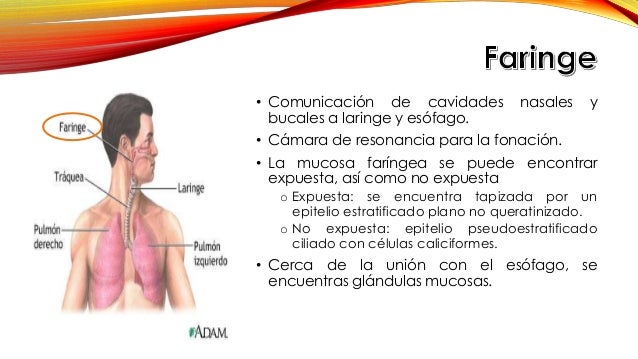 Detras de la universidad 4