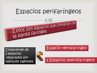 Espacios perifaríngeos
                      


Comprende de          Espacio retrofaríngeo
3 espacios
 separados por
tabiques sagitales.   2 Espacios laterofaríngeos
 