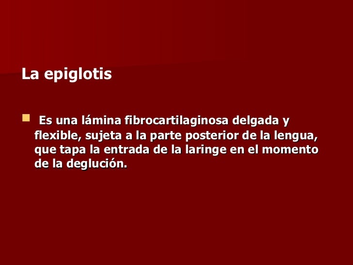faringe y epiglotis 7 728