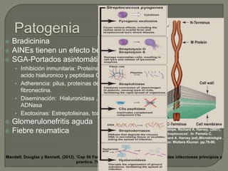 




Bradicinina
AINEs tienen un efecto beneficioso
SGA-Portados asintomático:
• Inhibición inmunitaria: Proteína M. Capsula del

acido hialuronico y peptidasa C5a.
• Adherencia: pilus, proteínas de enlace a
fibronectina.
• Diseminación: Hialuronidasa , estreptocinasa
ADNasa
• Exotoxinas: Estreptolisinas, toxinas superantigenicas




Glomerulonefritis aguda
Fiebre reumatica

Pamela C. Champe. Richard A. Harvey, (2007).
'Capitulo 9 Estreptococos'. In: Pamela C.
Champe. Richard A. Harvey (ed),Microbiologia .
2nd ed. Mexico: Wolters Klumer. pp.79-90.

Mandell, Douglas y Bennett, (2012). 'Cap 54 Faringitis'. In: Elsevier (ed),Enfermedades infecciosas principios y
practica. 7th ed. España: .. pp.822-828.

 