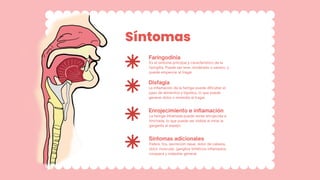 Síntomas
Faringodinia
Es el síntoma principal y característico de la
faringitis. Puede ser leve, moderado o severo, y
puede empeorar al tragar.
Disfagia
La inflamación de la faringe puede dificultar el
paso de alimentos y líquidos, lo que puede
generar dolor o molestia al tragar.
Enrojecimiento e inflamación
La faringe inflamada puede verse enrojecida e
hinchada, lo que puede ser visible al mirar la
garganta al espejo.
Síntomas adicionales
Fiebre, tos, secreción nasal, dolor de cabeza,
dolor muscular, ganglios linfáticos inflamados,
ronquera y malestar general.
 