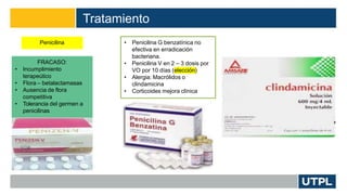 Tratamiento
Penicilina
FRACASO:
• Incumplimiento
terapeútico
• Flora – betalactamasas
• Ausencia de flora
competitiva
• Tolerancia del germen a
penicilinas
• Penicilina G benzatínica no
efectiva en erradicación
bacteriana.
• Penicilina V en 2 – 3 dosis por
VO por 10 días (elección)
• Alergia: Macrólidos o
clindamicina
• Corticoides mejora clínica
 