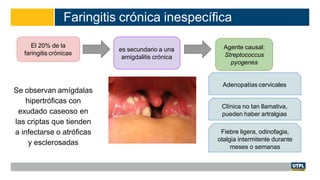 Faringitis crónica inespecífica
Se observan amígdalas
hipertróficas con
exudado caseoso en
las criptas que tienden
a infectarse o atróficas
y esclerosadas
El 20% de la
faringitis crónicas
es secundario a una
amigdalitis crónica
Agente causal:
Streptococcus
pyogenes
Adenopatías cervicales
Clínica no tan llamativa,
pueden haber artralgias
Fiebre ligera, odinofagia,
otalgia intermitente durante
meses o semanas
 