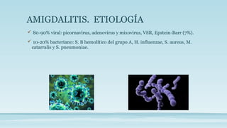 AMIGDALITIS. ETIOLOGÍA
 80-90% viral: picornavirus, adenovirus y mixovirus, VSR, Epstein-Barr (7%).
 10-20% bacteriano: S. B hemolítico del grupo A, H. influenzae, S. aureus, M.
catarralis y S. pneumoniae.
 