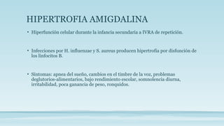 HIPERTROFIA AMIGDALINA
• Hiperfunción celular durante la infancia secundaria a IVRA de repetición.
• Infecciones por H. influenzae y S. aureus producen hipertrofia por disfunción de
los linfocitos B.
• Síntomas: apnea del sueño, cambios en el timbre de la voz, problemas
deglutorios-alimentarios, bajo rendimiento escolar, somnolencia diurna,
irritabilidad, poca ganancia de peso, ronquidos.
 