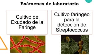 Exámenes de laboratorio
Cultivo de
Exudado de la
Faringe
Cultivo faríngeo
para la
detección de
Streptococcus
 
