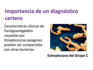 Importancia de un diagnóstico
certero
Características clínicas de
Faringoamigdalitis
causadas por
Streptococcus pyogenes
pueden ser compartidas
con otras bacterias
                              Estreptococo del Grupo C
 