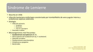 Síndrome de Lemierre
• Descrito en 1936
• Infección bacteriana orofaríngea caracterizada por tromboflebitis de vena yugular interna y
embolismos sépticos sistémicos
• Etiología:
• Infección primaria:
• Amigdalitis
• Mastoiditis
• Infección odontógena
• Asociada a catéter
• Microorganismos más frecuentes:
• Fusobacterium necrophorum (81 %)
• Otras especies de Fusobacterium (ej. F. nucleatum)
• Eikenella corrodens
• Porphyromonas asaccharolytica
• Streptococcus pyogenes
• Bacteroides
Golpe R. Postgrad Med J. 1999
Juárez I. Med Oral Patol Oral Cir Bucal. 2007
Noy D. Ann Maxillofac Surg. 2015
 