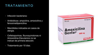 T R A T A M I E N T O
• Infección bacteriana:
• Antibióticos: ampicilina, amoxicilina y
fenoximetilpenicilina
• Macrólidos indicados en casos de
alergia.
• Cefalosporinas, flouroquinolonas ni
Amoxicilina-Clavulanico no se
indican de primera elección.
• Tratamiento por 10 dias.
 