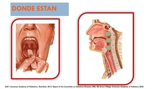 DONDE ESTAN
AAP ( American Academy of Pediatrics). Red Book: 2012. Report of the Committee on Infectious Diseases 28th. Elk Grove Village: American Academy of Pediatrics 2023
 